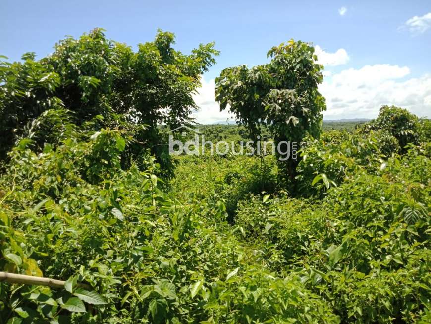 চট্টগ্রামে একদাগে ৪৫০০ কাঠা জমি বিক্রয় , Agriculture/Farm Land at Bandar