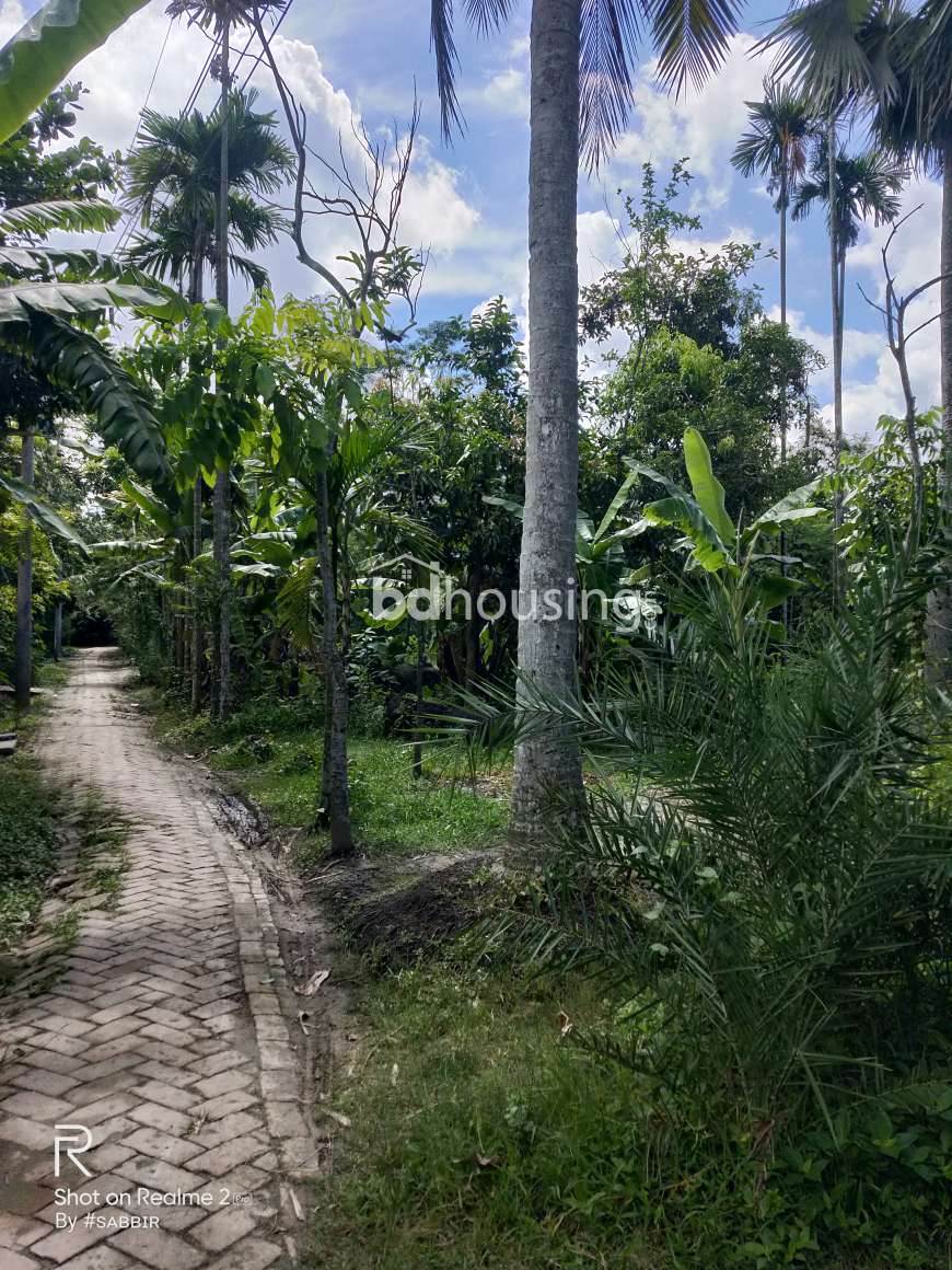 Sabbir, Commercial Plot at Khan Jahan Ali