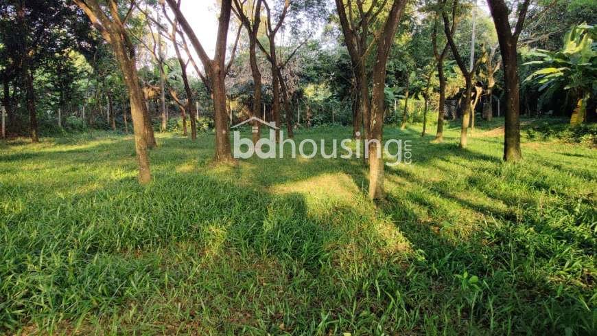 50 Bigha Industrial Land Sale @ Pubail, Gazipur., Agriculture/Farm Land at Gazipur Sadar