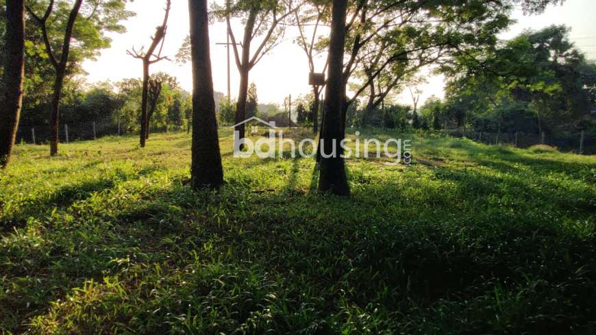 50 Bigha Industrial Land Sale @ Pubail, Gazipur., Agriculture/Farm Land at Gazipur Sadar