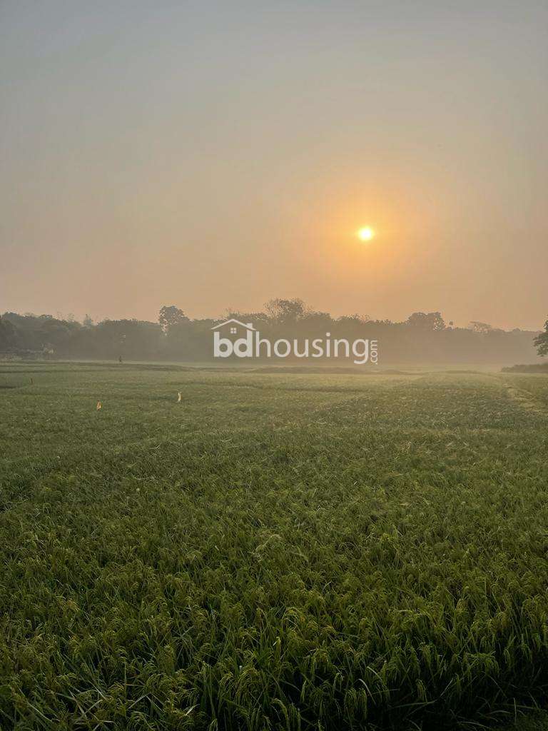 50 Bigha Industrial Land Sale @ Pubail, Gazipur., Agriculture/Farm Land at Gazipur Sadar