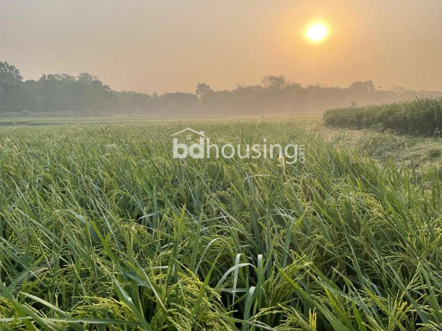 50 Bigha Industrial Land Sale @ Pubail, Gazipur., Agriculture/Farm Land at Gazipur Sadar