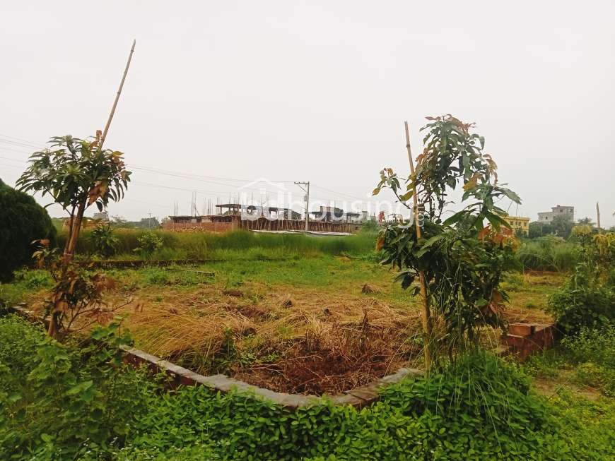 এখনই বাড়ি করার উপযোগী তিন কাঠের প্লট বিক্রি হচ্ছে।, Residential Plot at Basila