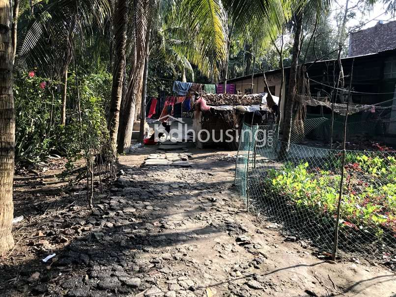 ১০ কাঠা নিষ্কন্টক ও নির্ভেজাল জমি/বাড়ি বিক্রি হবে, Residential Plot at Khan Jahan Ali