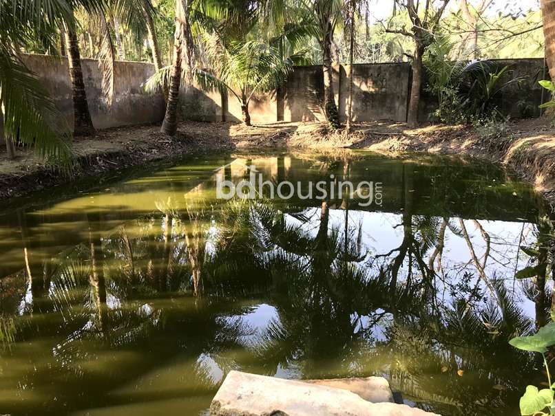 ১০ কাঠা নিষ্কন্টক ও নির্ভেজাল জমি/বাড়ি বিক্রি হবে, Residential Plot at Khan Jahan Ali