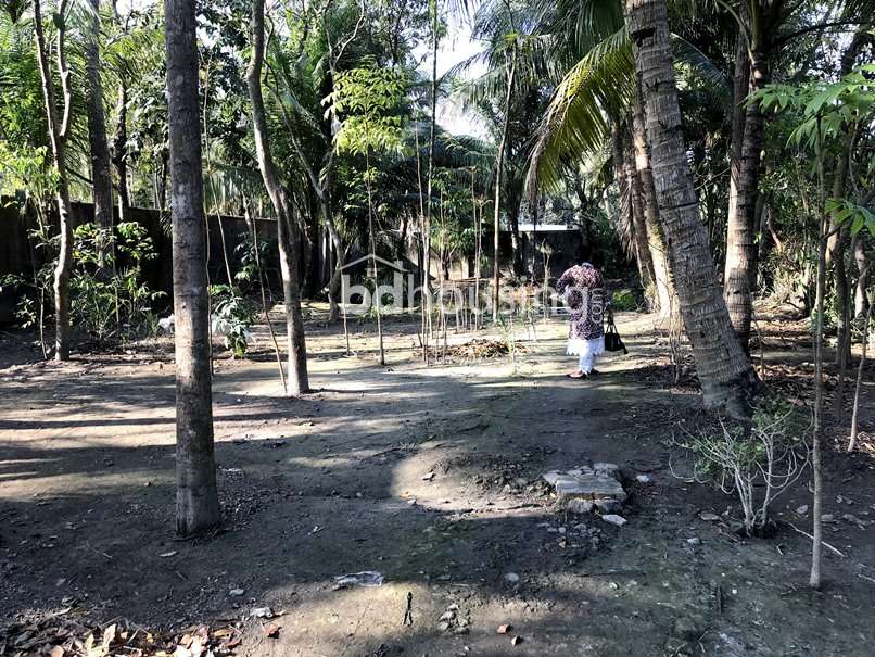 ১০ কাঠা নিষ্কন্টক ও নির্ভেজাল জমি/বাড়ি বিক্রি হবে, Residential Plot at Khan Jahan Ali