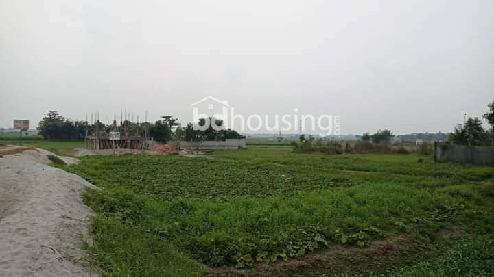 মধুসিটি , Residential Plot at Basila