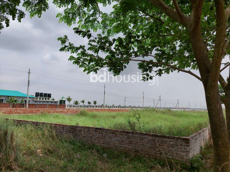 P Block 4 Katha South Faced ready plot in Bashundhara R/A, Residential Plot at Bashundhara R/A