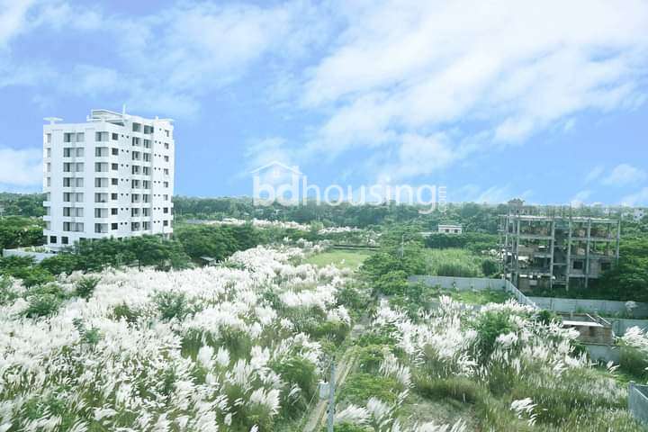 Modhu Haji River View, Residential Plot at Basila