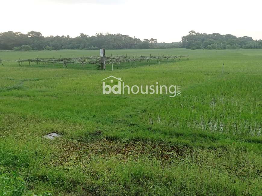 Ready Residential Plot For Sale at Patira, Khilkhet .(Near 300 Feet Purbachal) , Residential Plot at Purbachal