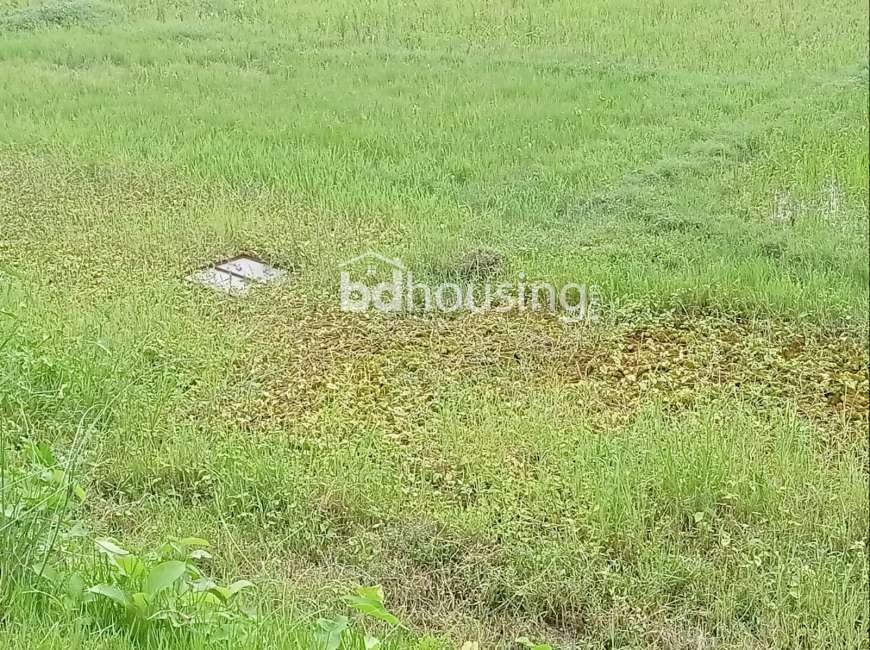 100% Ready Plot , Residential Plot at Bashundhara R/A