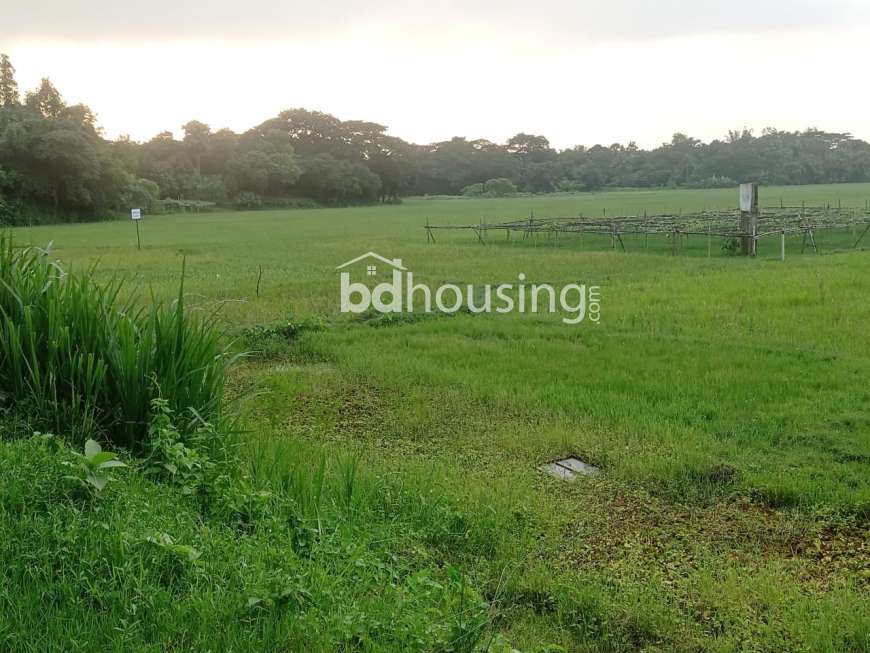 100% Ready Plot , Residential Plot at Bashundhara R/A