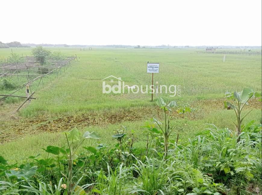 Arison Ratan Nagar., Residential Plot at Purbachal