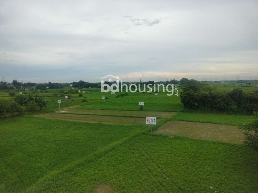 মধুসিটি , Commercial Plot at Basila