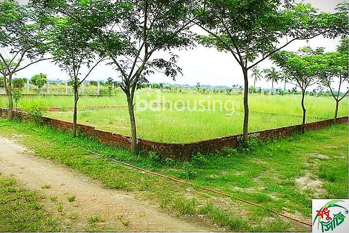 Modhu city, Residential Plot at Basila