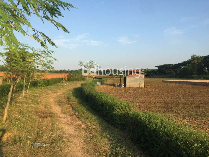 Krishibid West View, Residential Plot at Savar