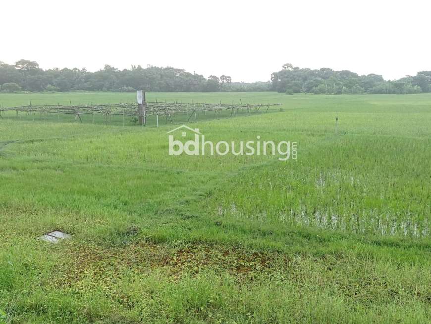 আস্থা ও বিশ্বাসের অটুট বন্ধন এরিসন রতন নগর ! , Residential Plot at Purbachal