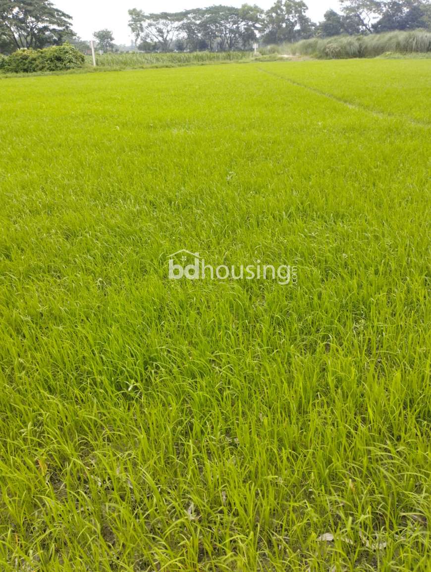 Modhu City, Residential Plot at Basila