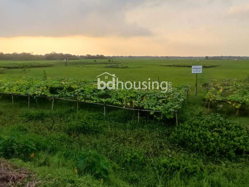 যৌথ মালিকানায় সহজ কিস্তিতে প্লট কিনুন এরিসন রতন নগরে! , Residential Plot at Purbachal