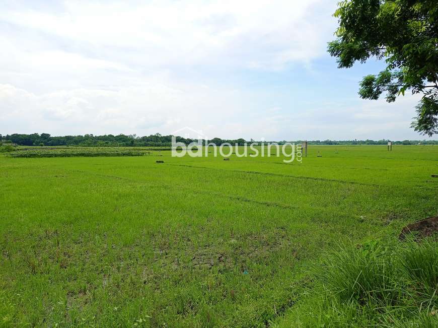 ভবিষ্যৎ আবাসনের সিদ্ধান্তটি  হোক এরিসন রতন নগরে ! , Residential Plot at Purbachal