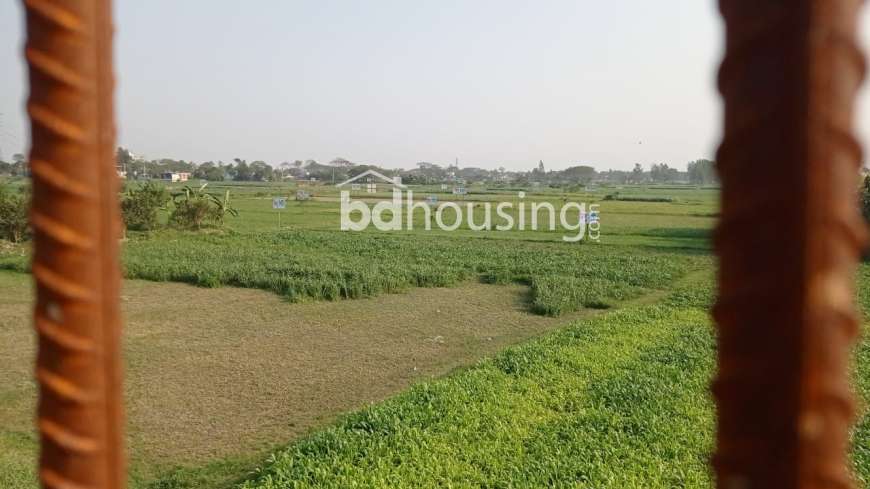 মধুসিটি , Residential Plot at Basila