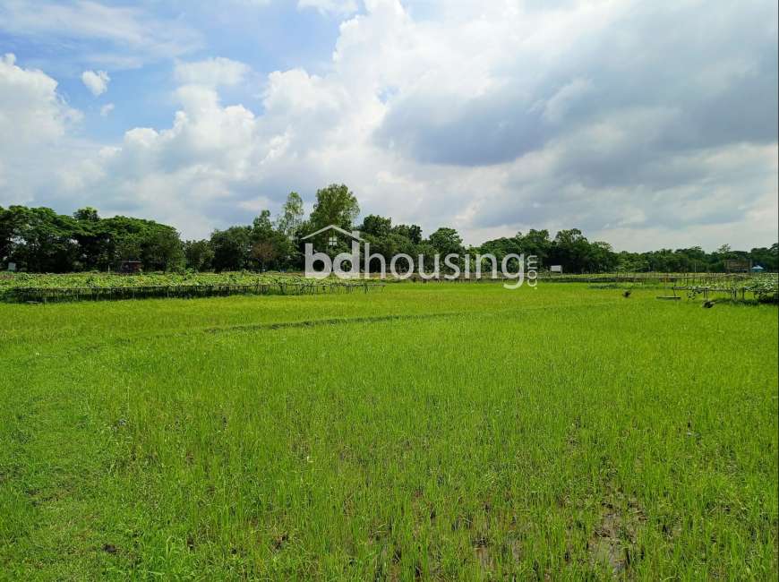 সবুজের মাঝে আপনাকে স্বাগতম জানাচ্ছে এরিসন রতন নগর ! , Residential Plot at Purbachal