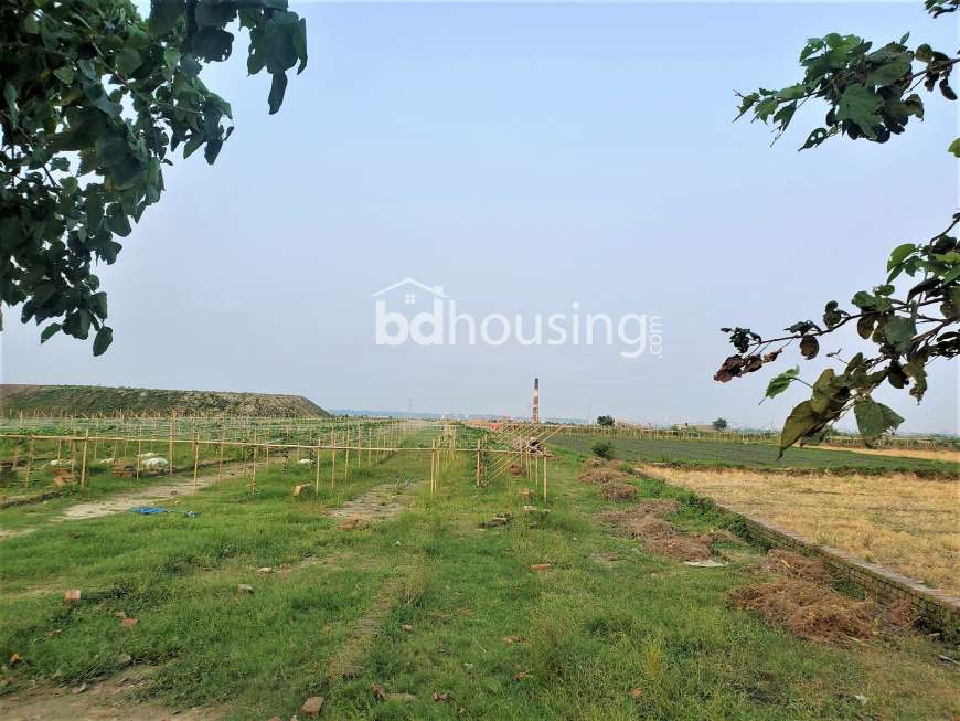 Babul Nagar, Residential Plot at Gabtali