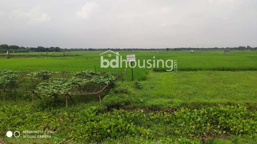 সহজ কিস্তিতে প্লট কিনুন এরিসন রতন নগরে! , Residential Plot at Purbachal