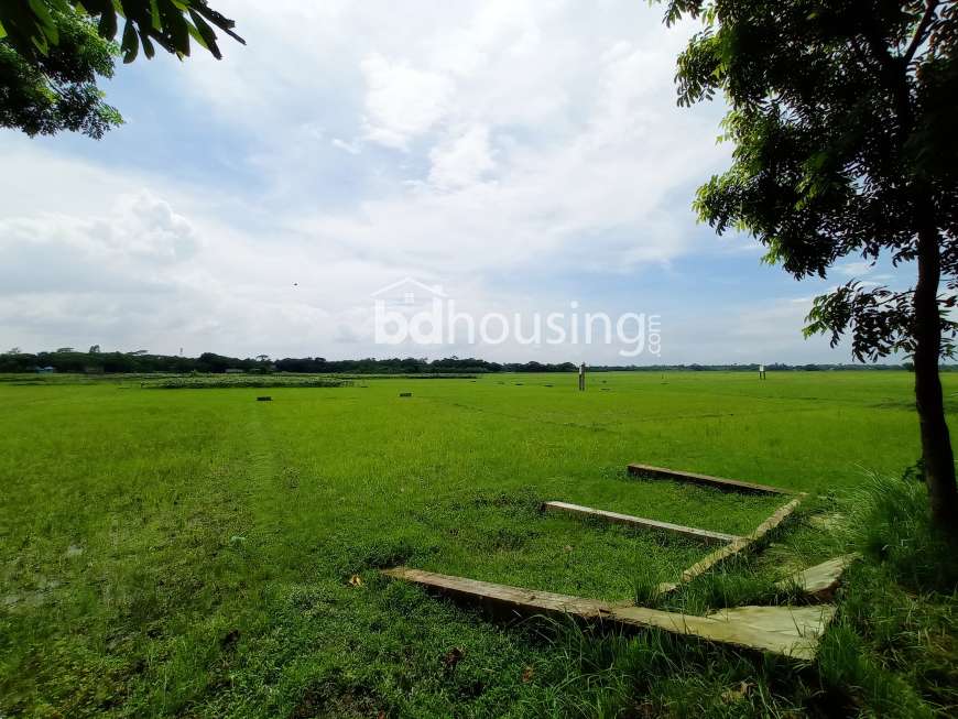 নিজের একটা প্লট নিজের একটা স্বপ্ন এবার হবে এরিসন রতন নগরে! , Residential Plot at Purbachal