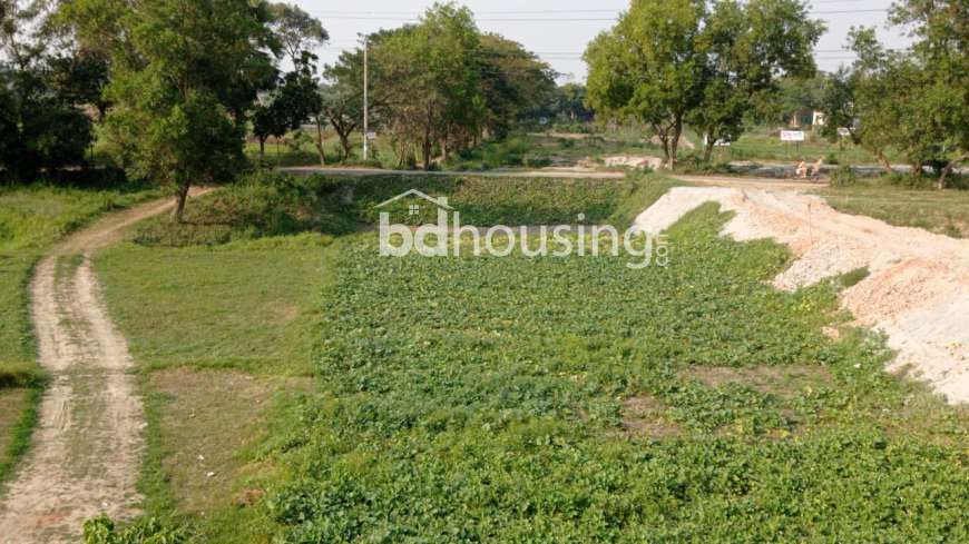 মধুসিটি , Residential Plot at Basila