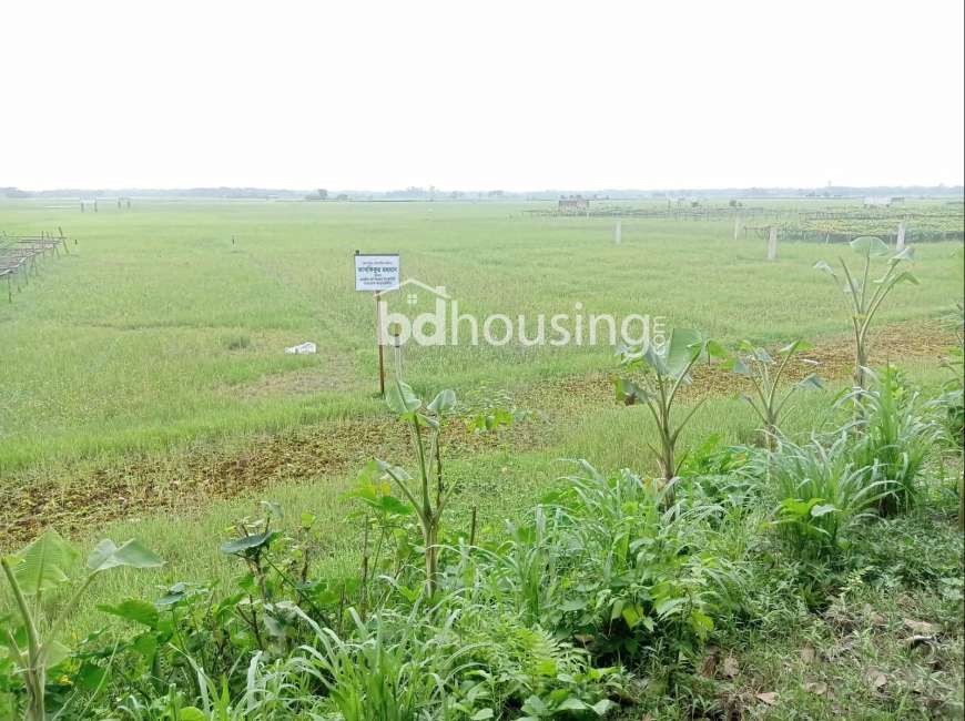 সহজ কিস্তিতে স্বপ্ন পূরণ ! , Residential Plot at Purbachal