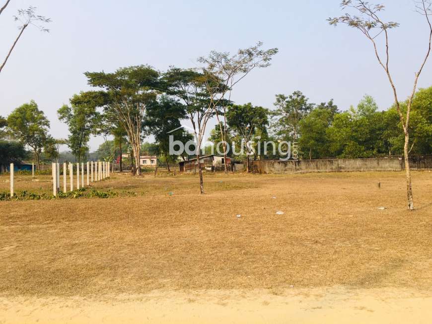 Shohid Cornel M.R Housing, Residential Plot at Shahporan 