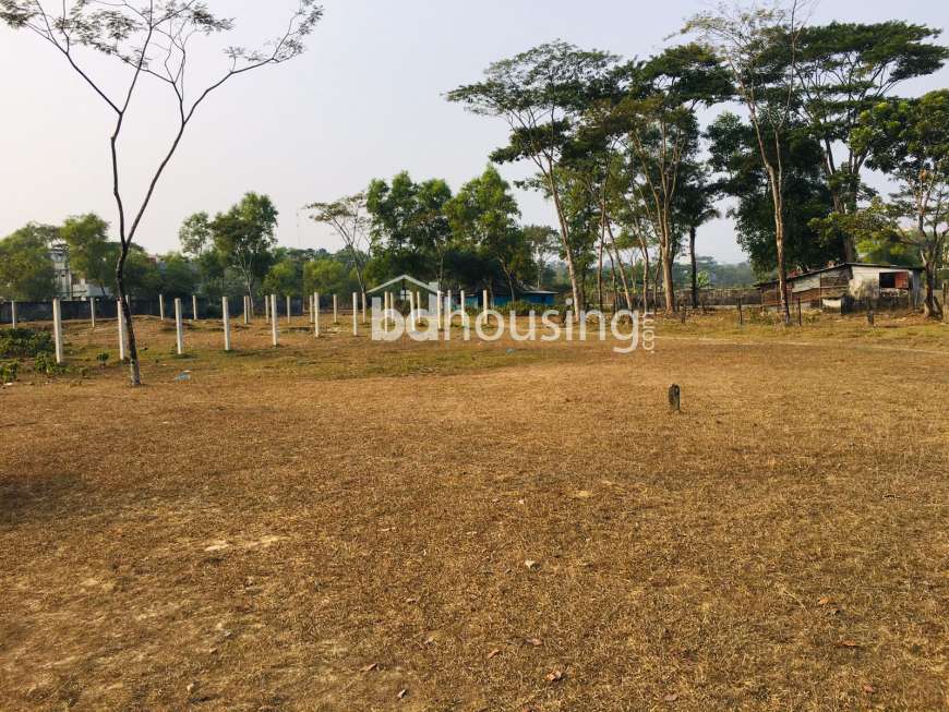 Shohid Cornel M.R Housing, Residential Plot at Shahporan 