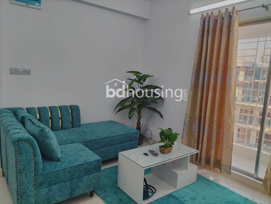 Studio Apartment , Apartment/Flats at Bashundhara R/A