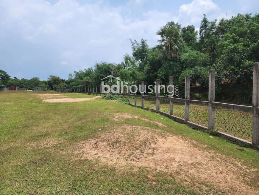 Valuka, Commercial Plot at sadar