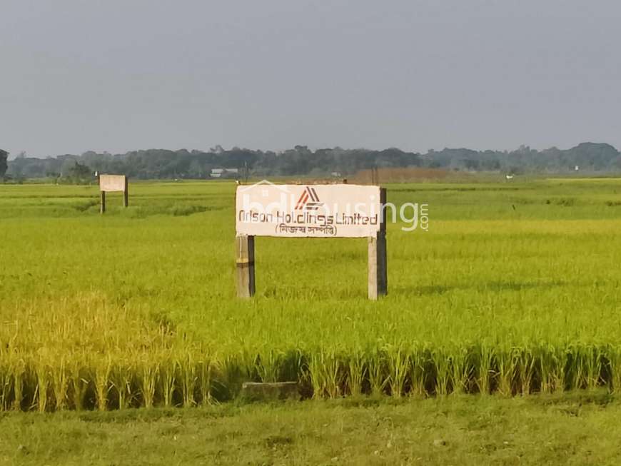 এরিসন রতন নগর নিরাপদ ও নির্ভরতার প্রতীক । , Residential Plot at Purbachal