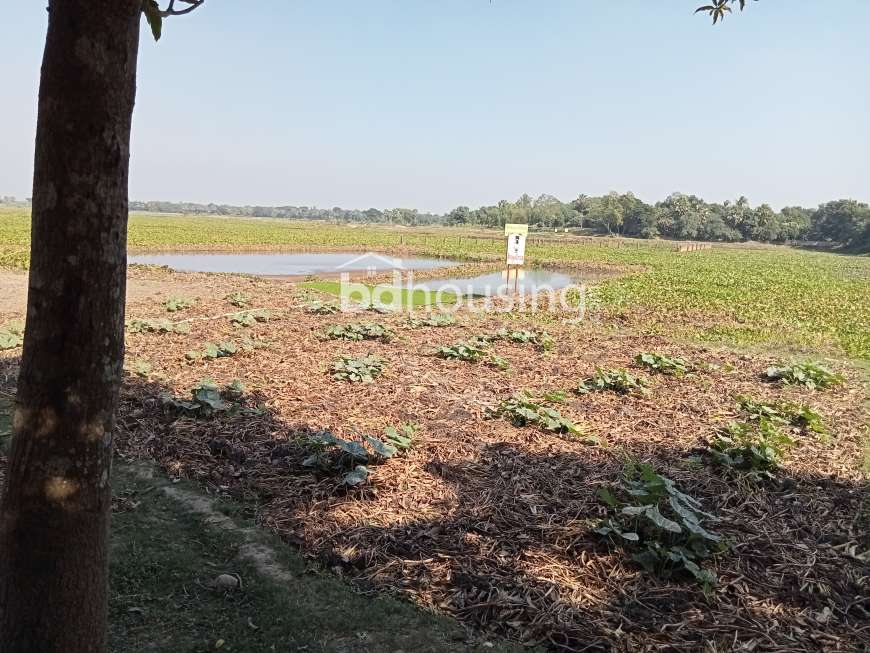 Pine City Purbachal, Residential Plot at Purbachal