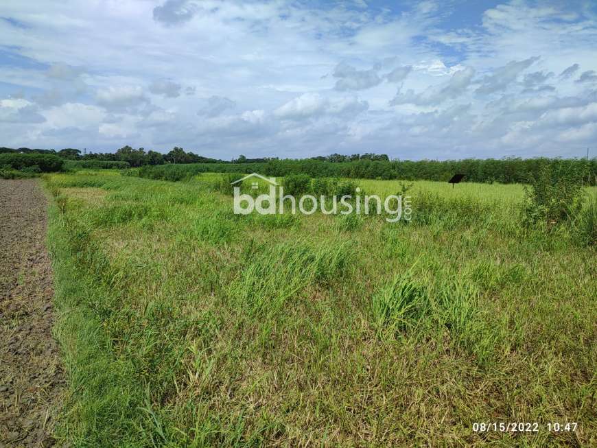 Savar, Kodomtoli, Residential Plot at Savar