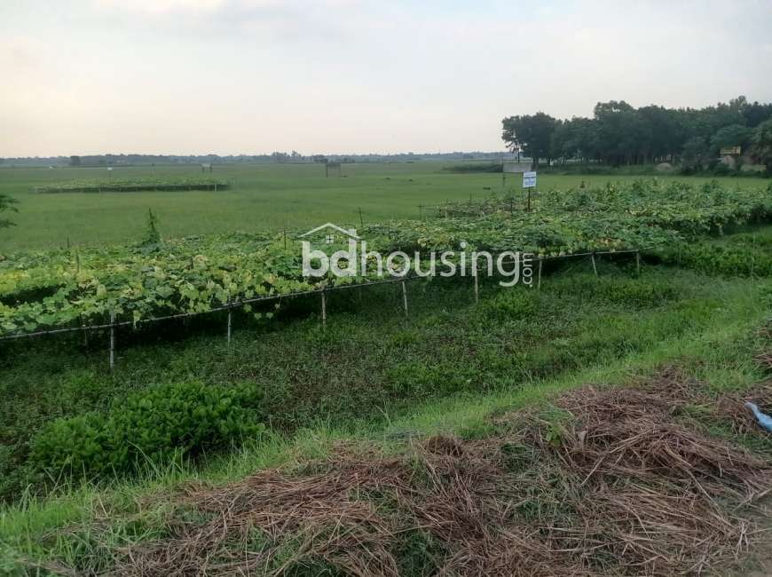 Building Material E- Commerce , Commercial Plot at Bashundhara R/A