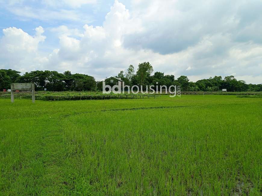 গল্পের শুরুটা হোক এরিসন রতন নগরে । , Residential Plot at Purbachal