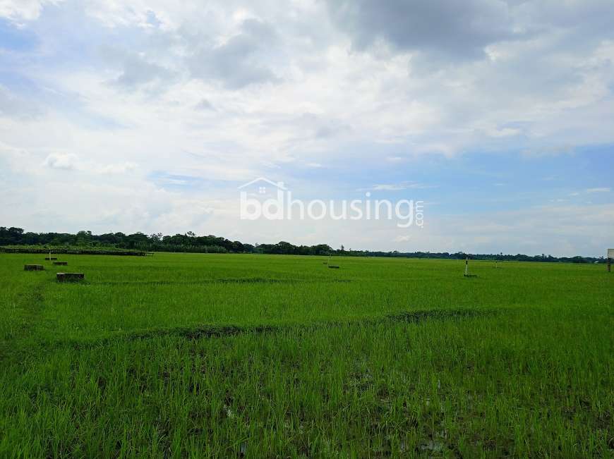 ৩ কাঠা মাত্র ১৮ লাখ টাকা এরিসন রতন নগরে । আজই বুকিং করুন আপনার প্লটটি  , Residential Plot at Purbachal