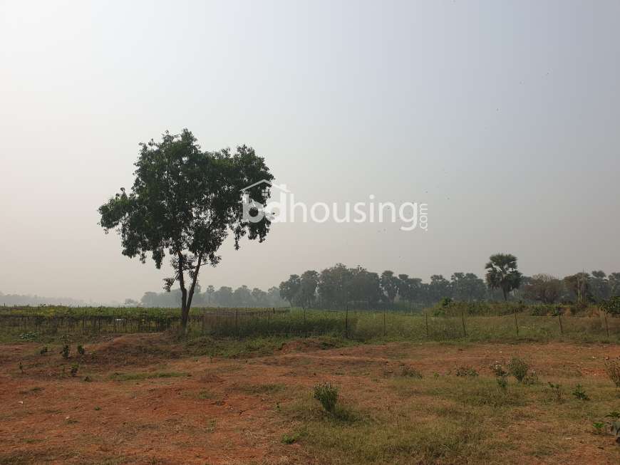 Krishibid Valley, Residential Plot at Savar