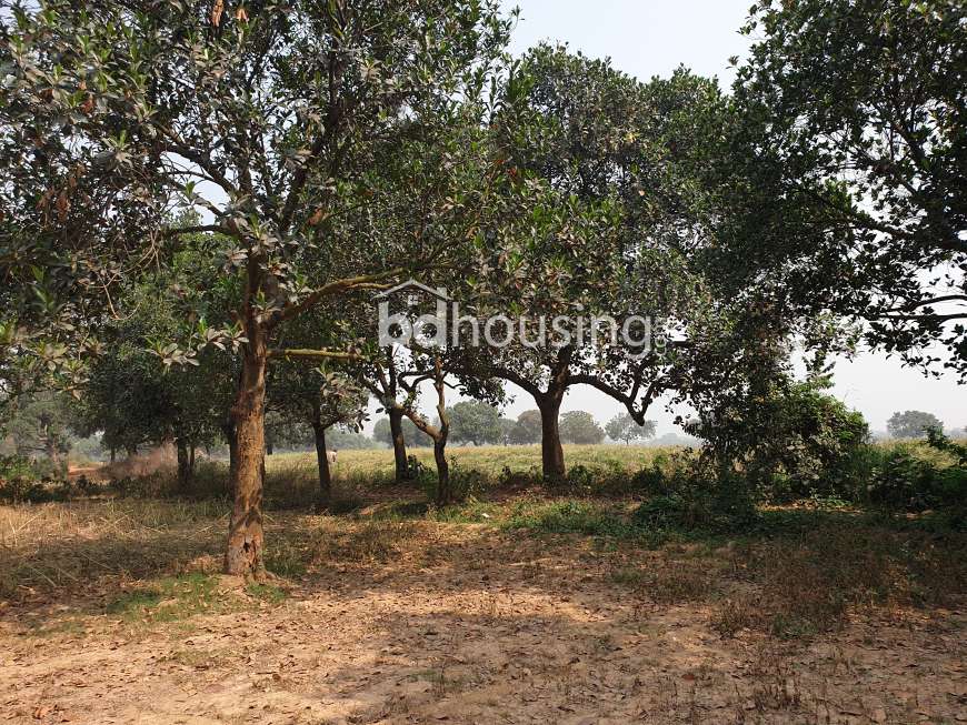 Krishibid Valley, Residential Plot at Savar