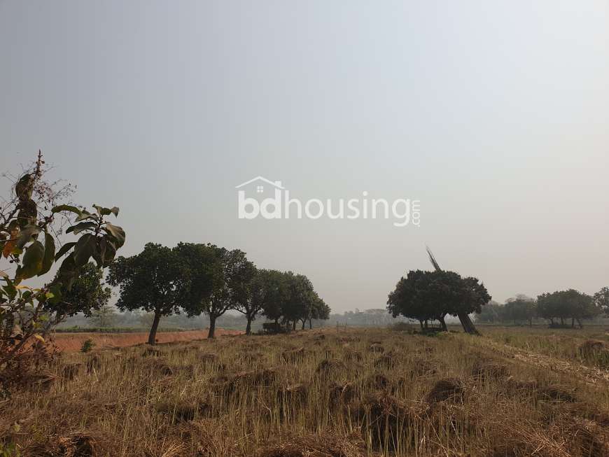 Krishibid Valley, Residential Plot at Savar