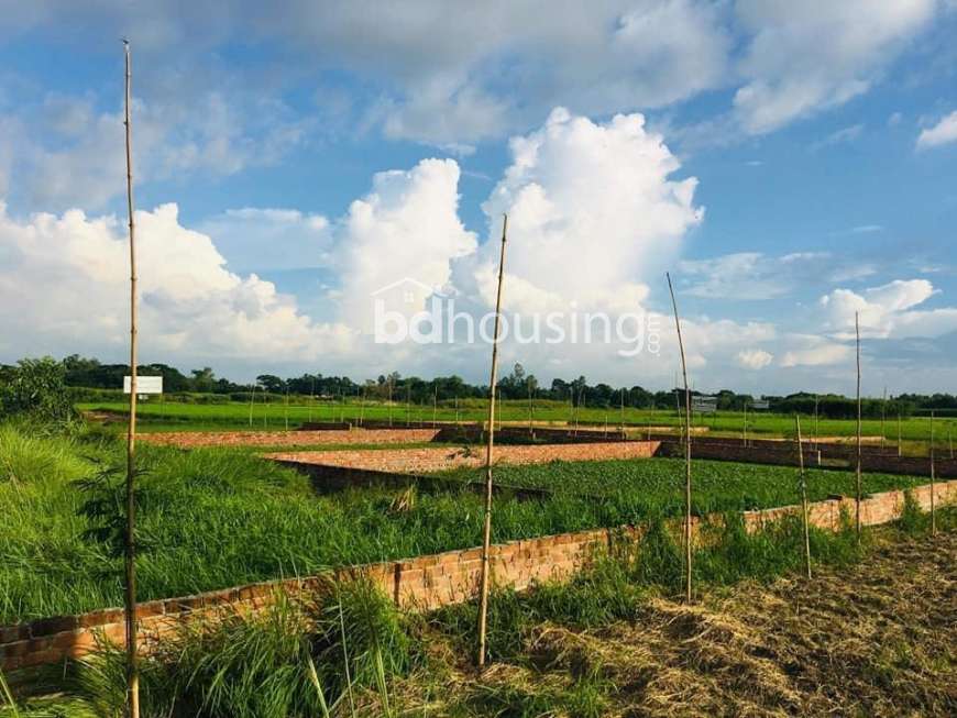 TRIVUBAN DREAMLAND CITY, Residential Plot at Hemayetpur