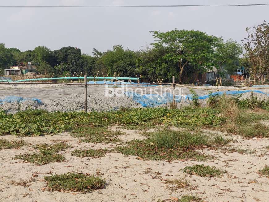 Modhucity , Residential Plot at Mohammadpur