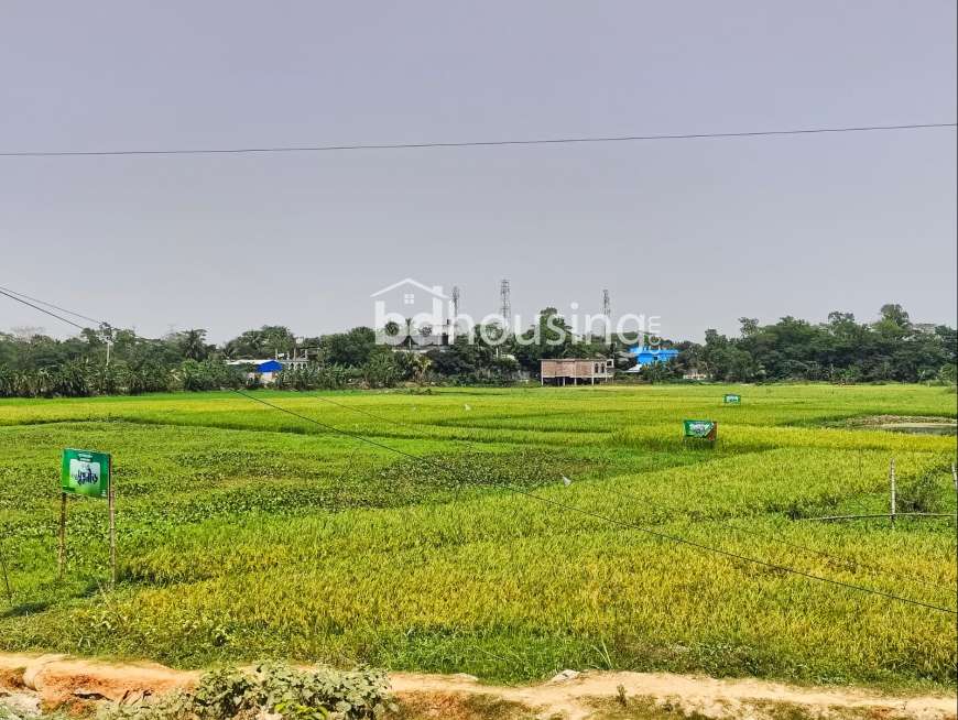 Swapno Neer Eco- City, Residential Plot at Purbachal