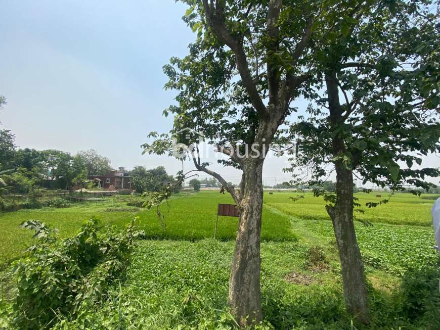 Chayabithi, Residential Plot at Purbachal