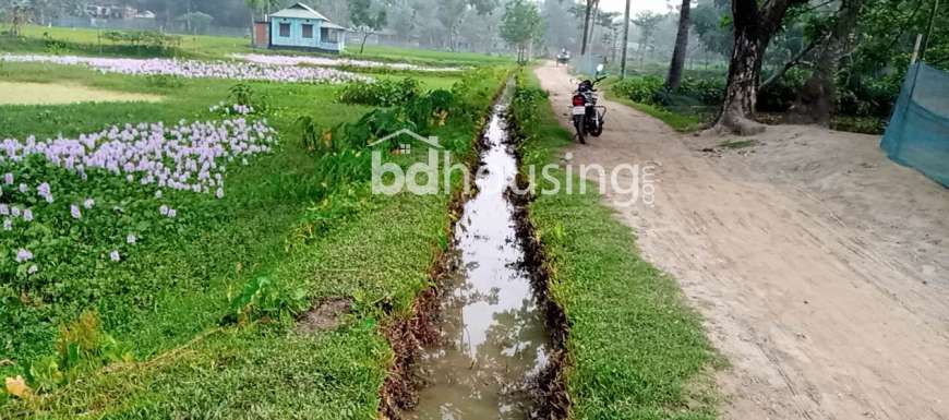 ময়মনসিংহ  মুক্তাগাশা  উপজেলা  শহর থেকে  দেড় কিলোমিটার উত্তর পূর্ব দিকে তারাটি পূর্ব পাড়ায় ১০ ফিট  রাস্তার পাশে   ৪৩ শতাংশ  জমি  বিক্রয়  হবে , Agriculture/Farm Land at sadar