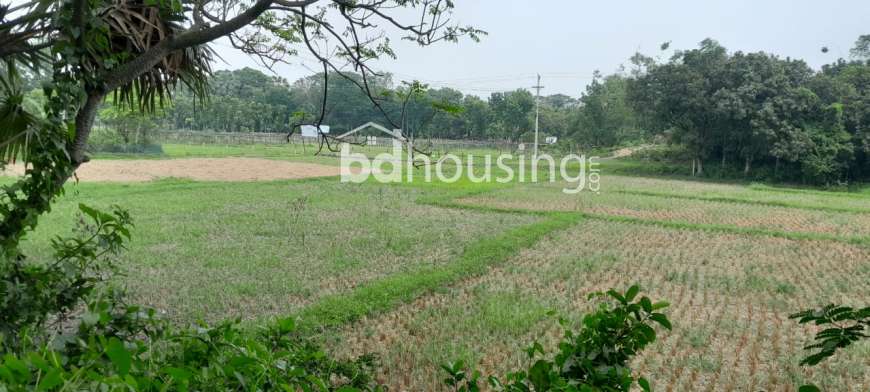 Shopno Neer Smart city , Residential Plot at Purbachal